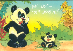 panda couleur